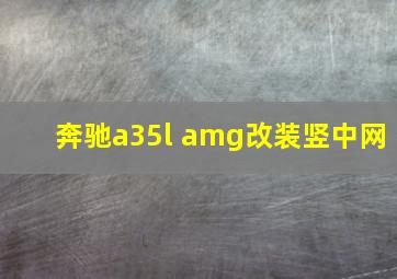 奔驰a35l amg改装竖中网